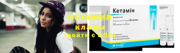 крисы Абдулино