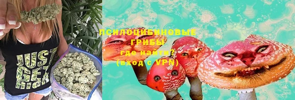 мет Абаза