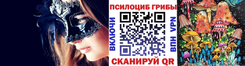 Псилоцибиновые грибы Psilocybe  даркнет сайт  blacksprut зеркало  Владикавказ 