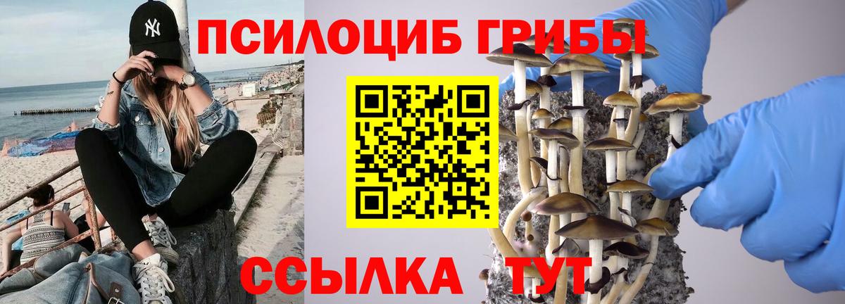 Псилоцибиновые грибы мухоморы  даркнет сайт  Владикавказ  Вход с VPN 
